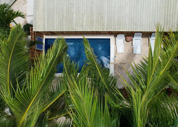 Lodge Hacienda La Floresta Cedros